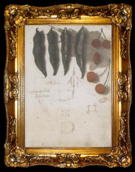 framed  Leonardo  Da Vinci Pod of cherry and forest strawberry, ta009-2